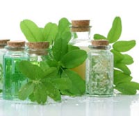 How Naturopathy Works?