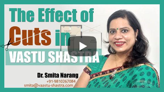 Effect of cuts in Vastu Shastra