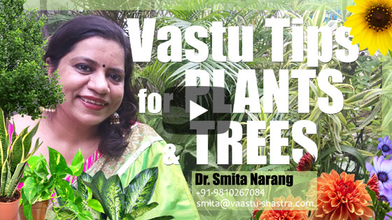 Vastu Tips for Plants and Trees